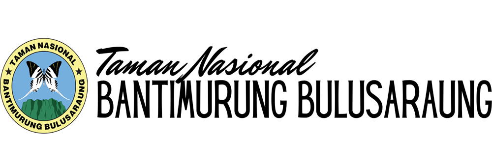 logo-black